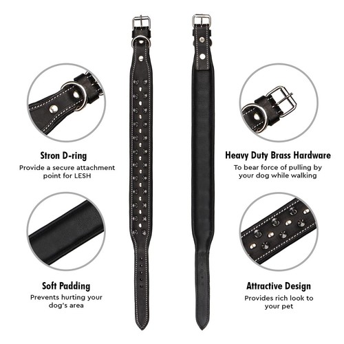 Collares de lujo de cuero genuino con clavos para perro para todas las razas | Cinturón para el cuello - Imagen 3 de 8