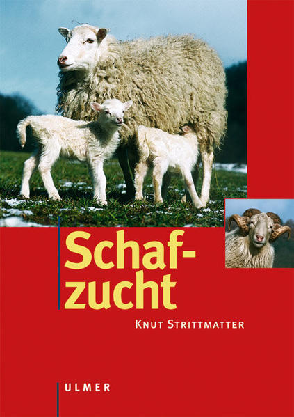 Thumbnail - Schafzucht | Knut Strittmatter | Deutsch