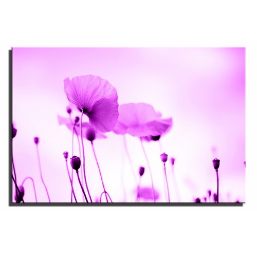 Mohn Landschaft Floral Einzel Leinwand Wandbild Bild Druck 16a - Bild 8 von 11
