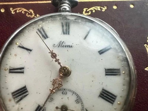 Montre Bracelet Ergic 17 Rubis - Homme - À Réviser Ou Pour Pièces - Référence 133-21/A6-4
