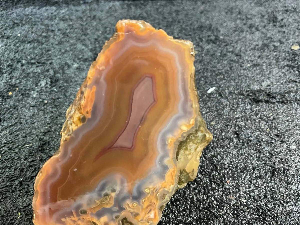 Condor Agate for sale | eBay