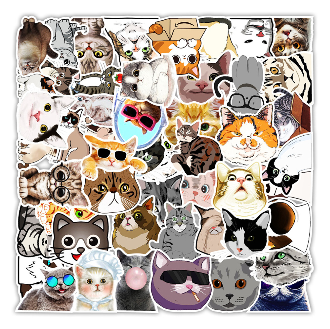 50pc Waterproof Vinyl Stickers Cute Funny Cats Luggage Phone Laptop Water Bottle