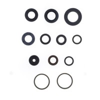 Serie Parolio Motor MBK Skyliner / Malag FüR Yamaha YP Majesty 4T LC 150 00-02