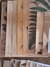 35 Pc Vintage Ephemera Junk journal Pack B