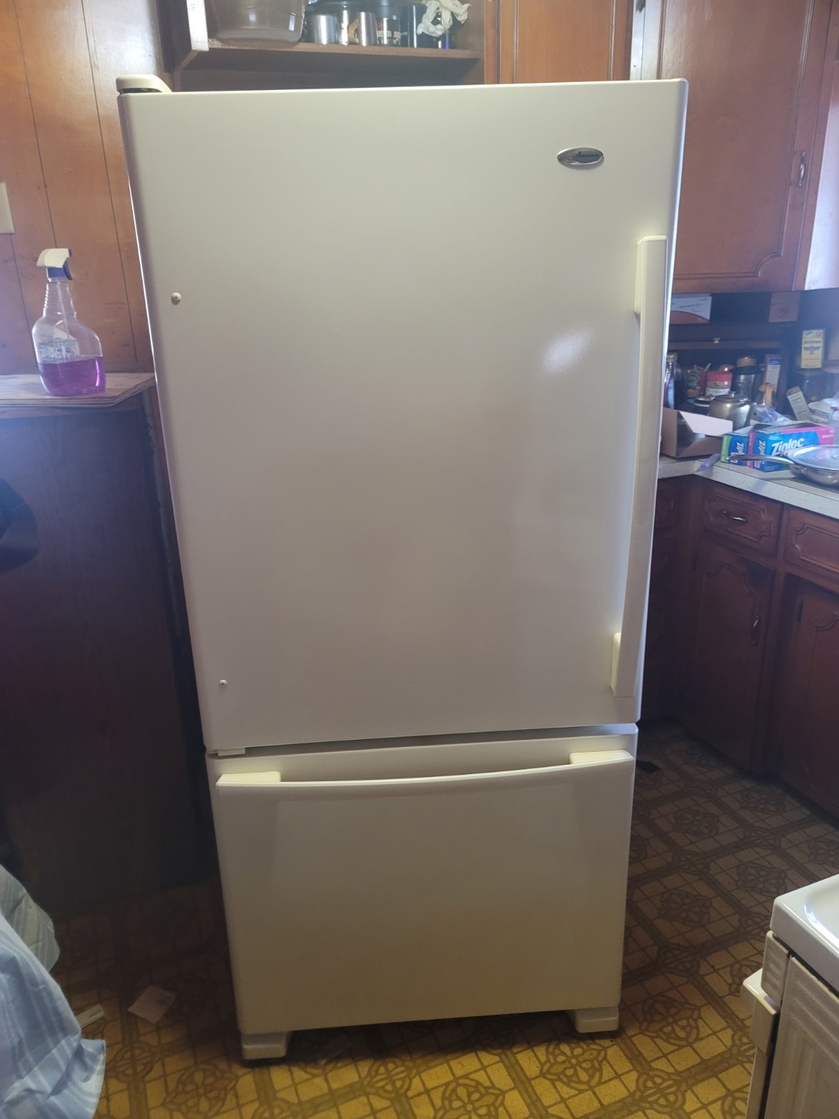 Amana Bottom Freezer Refrigerator ABB1924BRW00 White Frost-Free Freestanding
