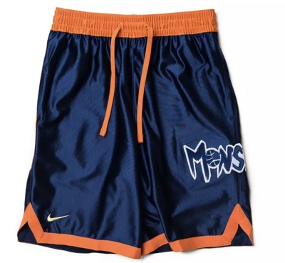 lebron monstars shorts