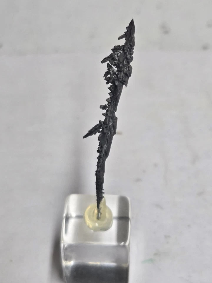 Beautiful Native Silver Australia specimen - Image 2 of 3