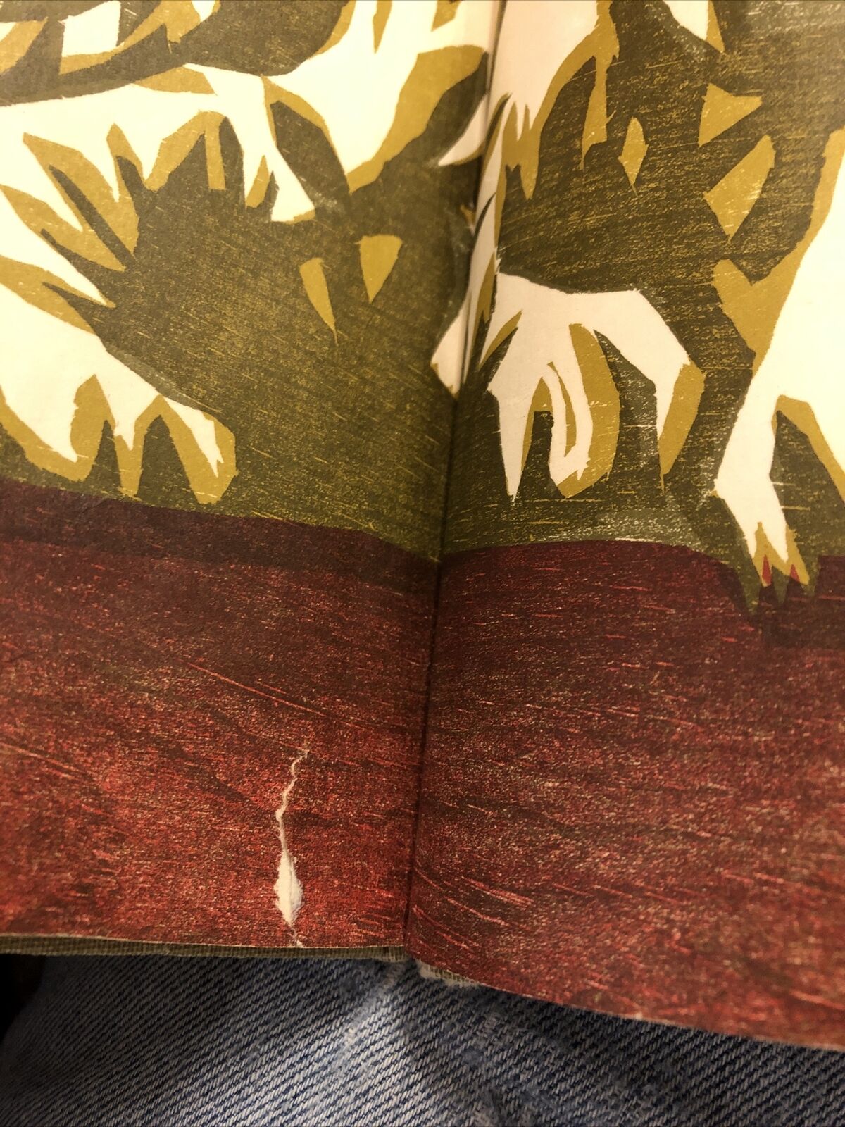 Picture 8 of 10