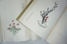 Japanese Ikebana Flower Arrangment Book Set with approx. 200 Images 0626D18