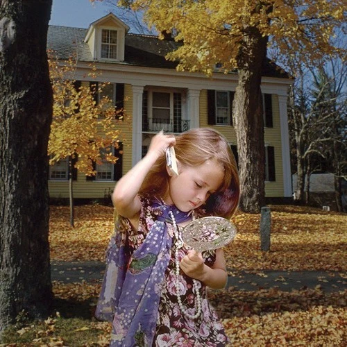 COKIN CREATIVE FILTER A SERIES SYSTEM A062 Gray 1 Center Spot Resin Filter - Image 4 of 4