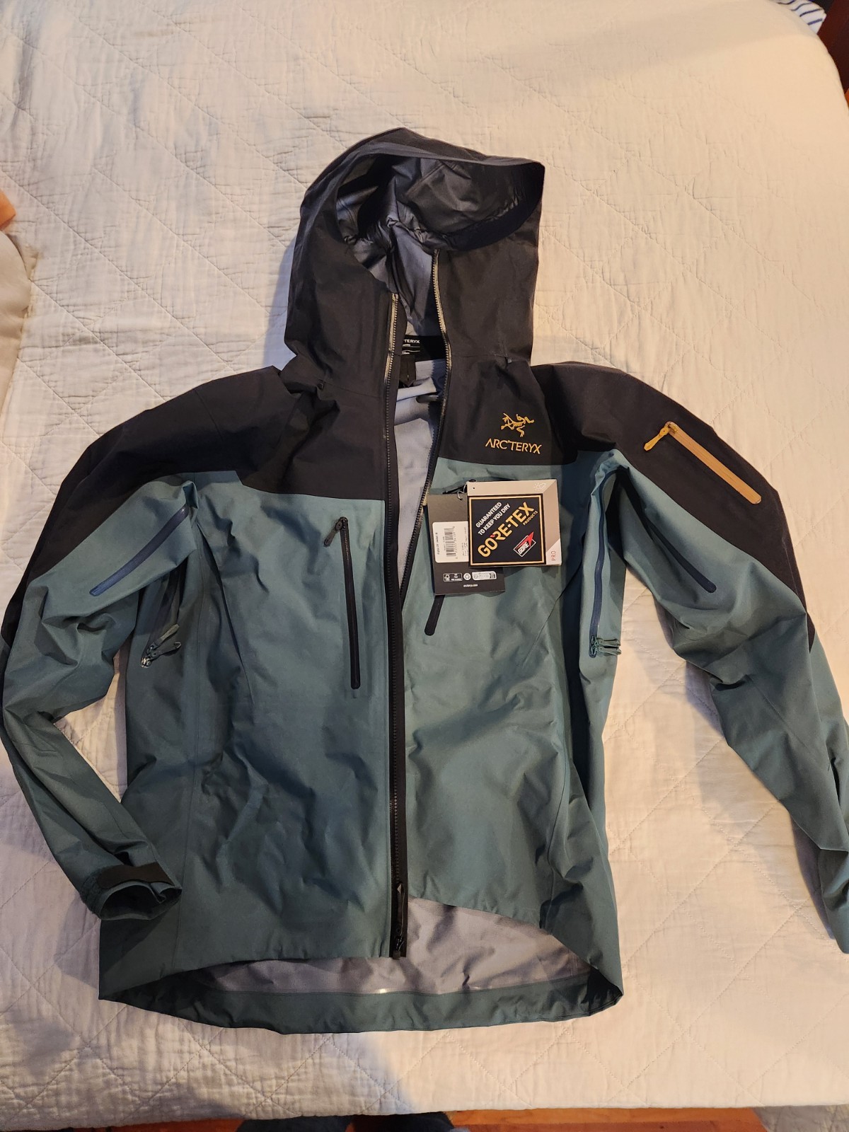 Arc’teryx Alpha SV Jacket Mens Large Dark Magic 24k Gore-Tex Pro Shell Canada