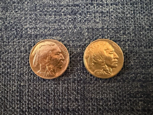 Set of 2 Buffalo Nickels 1924  1924-D-- VF/XF--Take a Look!