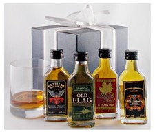 WOW World of Whisky Miniaturen Set + Whiskey Glas im Geschenk Karton Geschenk