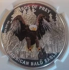 DEAL 2013 AMERICAN BALD EAGLE NIUE Birds Prey  1 oz .999 Silver PF69 UC ER NGC