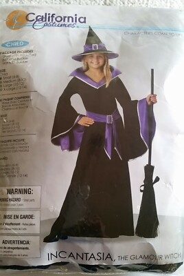 california costumes incantasia ,tha glamour witch small(6-8) | eBay