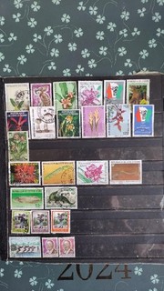 25 TIMBRES DE COTE D IVOIRE LOT 05072026 FRA 2000