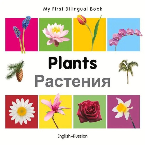 Milet | My First Bilingual Book - Plants (English-Russian) | Buch | Englisch-image