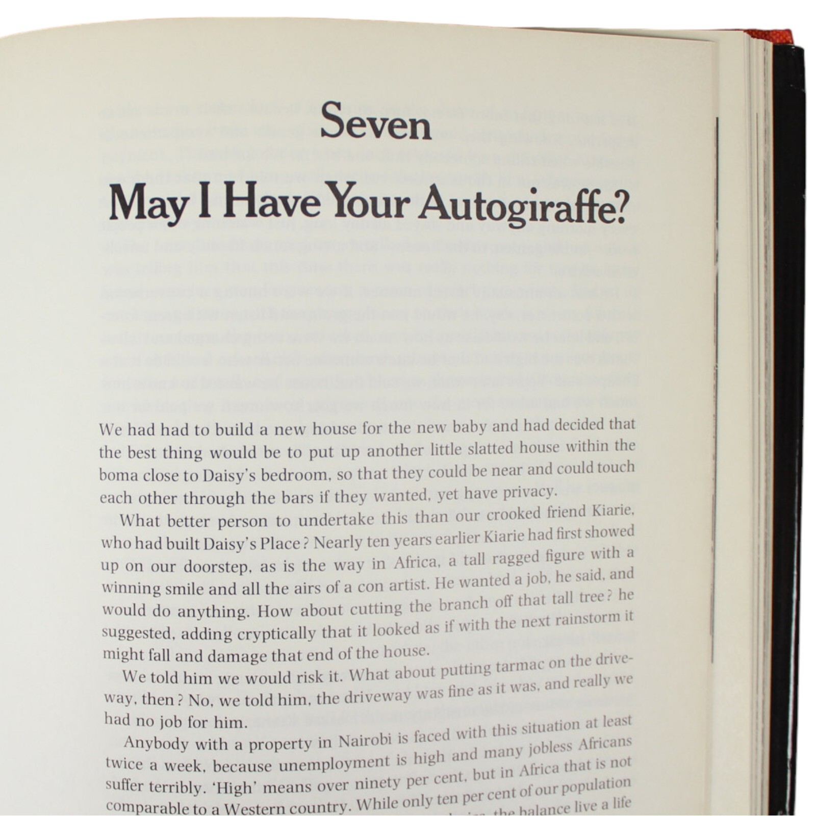 GIRAFFES DAISY ROTHSCHILD SIGNED RAISING DAISY ROTHSCHILD HCDJ BETTY MELVILLE 