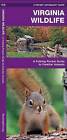 Virginia Wildlife: A Folding Pocket Guide to Familiar Species by James Kavanagh (Pamphlet, 2005)