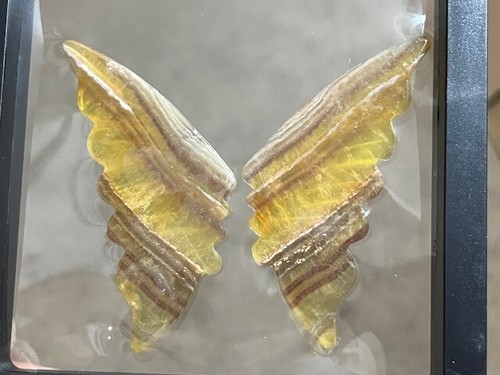 SPECTACULAR 3 1/2" GOLDEN FLUORITE BUTTERFLY WINGS. AWESOME TRANS-ILLUMINATION - Picture 16 of 24