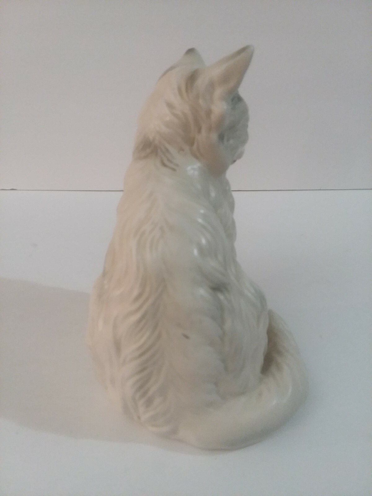 Picture 5 of 12