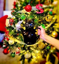 Cat Teapot Or Coffee Pot Vintage Quirky Fun Black Cat Unusual Gift