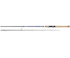 Daiwa Aird Coastal inshore Spinning