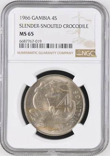 Gambia 4 Shillings 1966 Slender-Snouted Crocodile NGC MS 65