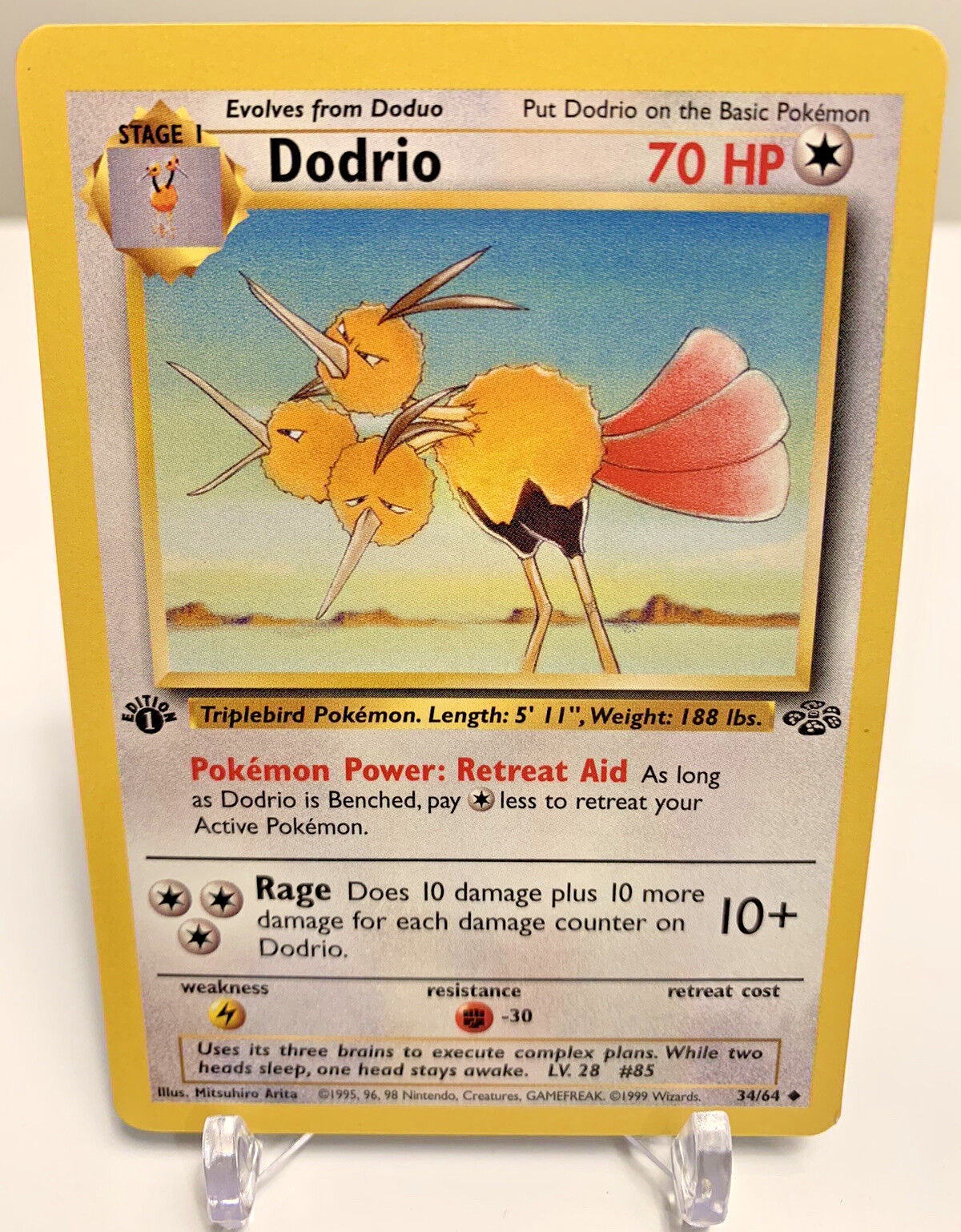 1st Edition Dodrio 34/64 - Jungle - Vintage Pokemon Card- EX-NM