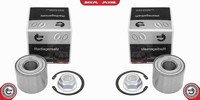 2X Esen SKV Radlager Radlagersatz Hinten Links Rechts FüR Renault Megane Scenic