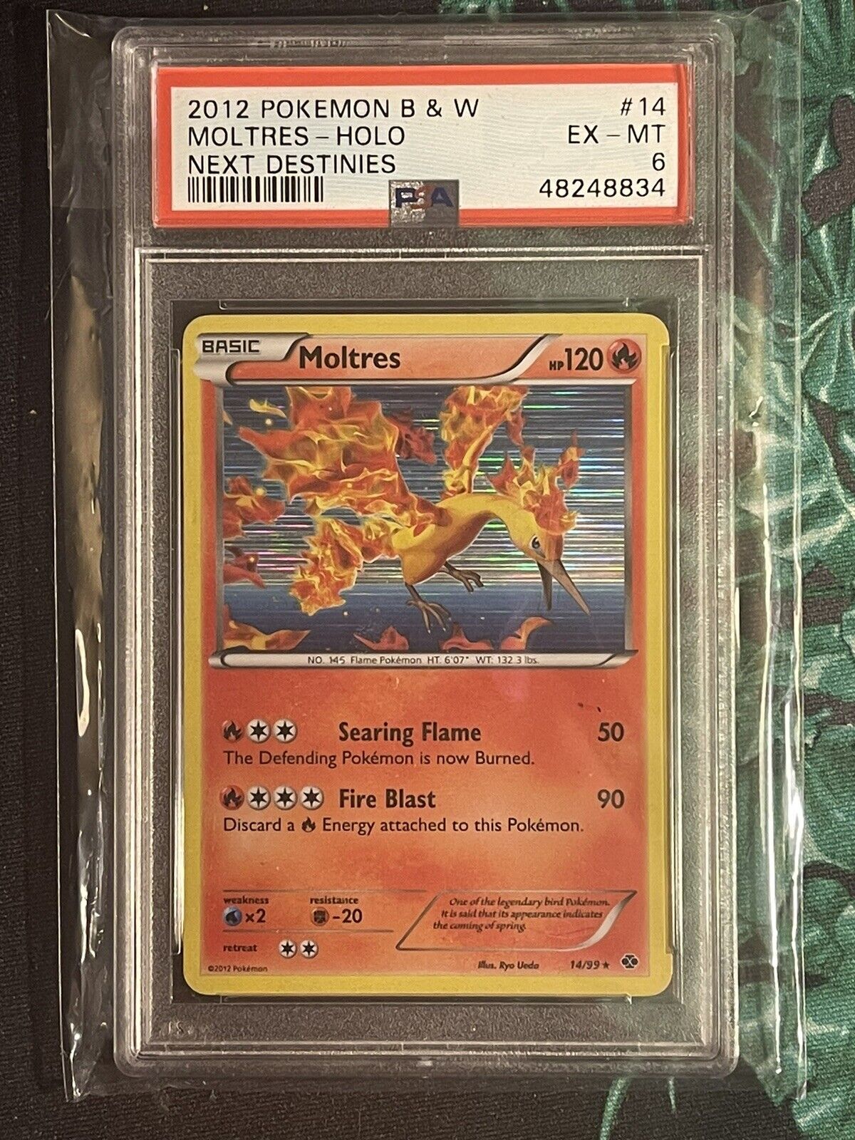Next Destinies 14 Moltres PSA 6
