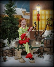 "RUDY" the Reindeer Christmas Prop or Display