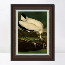 Framed Canvas Giclee Print Series#121 by John James Audubon Wall Art Home Decor