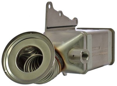 AGR Kühler Abgasrückführung 55271190 Neu Original VALEO für Fiat