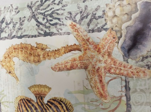 3 Same Reversible Plastic Placemats (12"x18") SEALIFE,FISH,SEAHORSE,STARFISH, CA - Picture 11 of 12