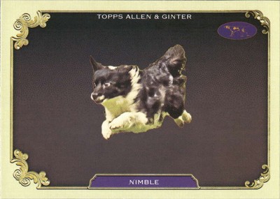 2024 Topps Allen and Ginter MLB Baseball Standard Sized Inserts Pick From List