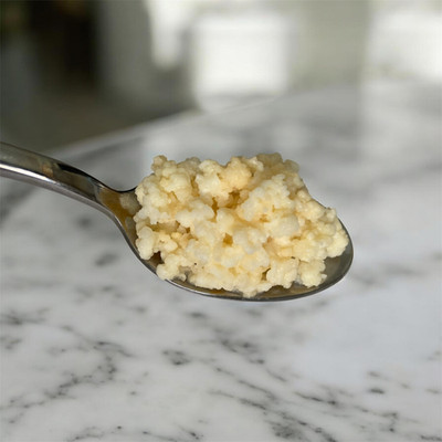 Fresh Live Milk Kefir Grains   Healthy, Active Culture   From Home Batch