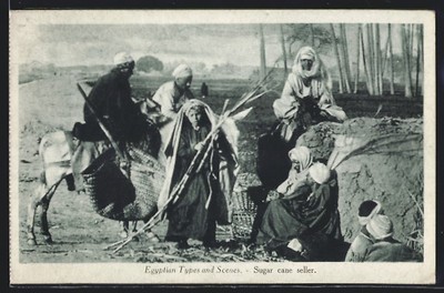 AK Egypt, Egyptian Types and Scenes, Sugar cane seller, arabischer Händler 1934 