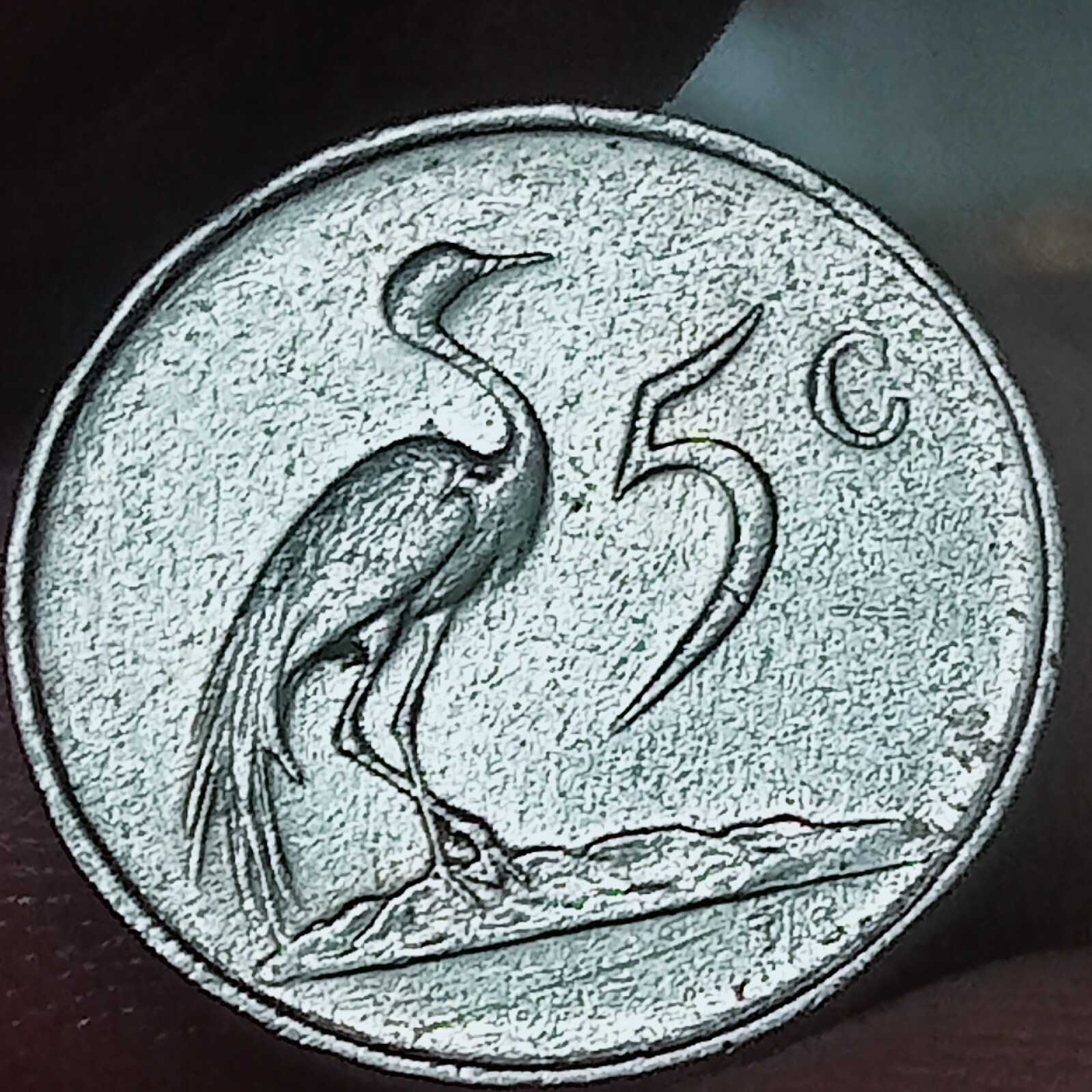 Picture 8 of 10
