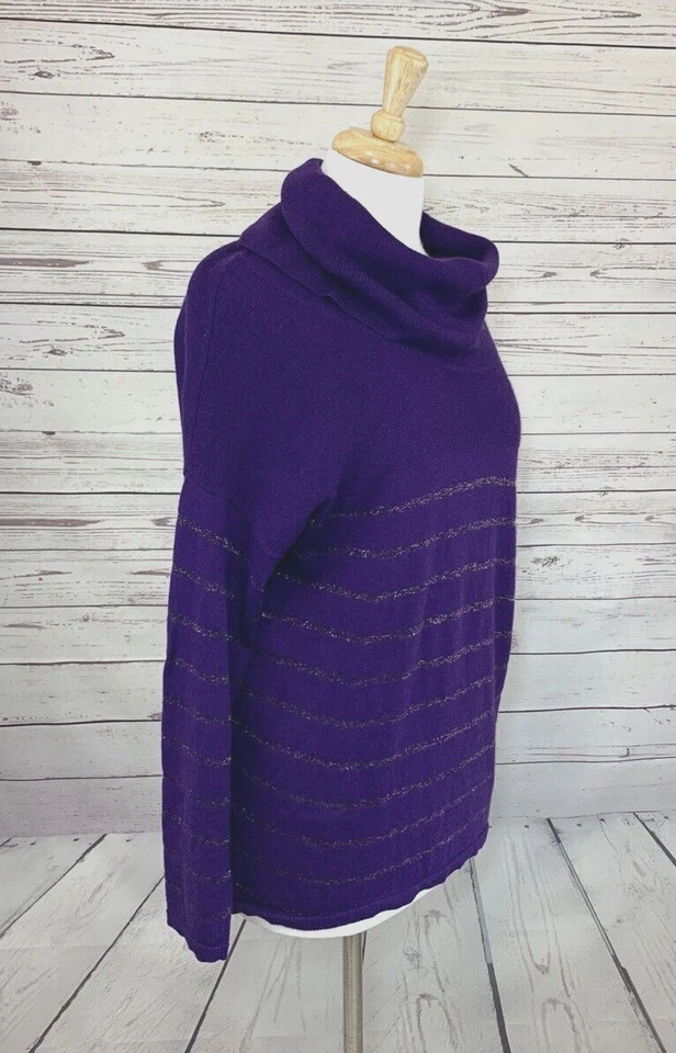 Coldwater Creek 紫色长袖圆领美利奴混纺条纹毛衣 L 码 — 第 4/4 张图片