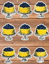 Blueberry Lemon Cake Die Cut Vinyl Stickers Scrapbooking Laptop Waterbottle