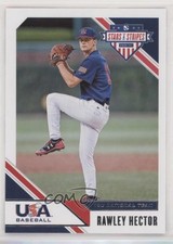 2020 Panini USA Baseball Stars & Stripes Rawley Hector #49 1u6