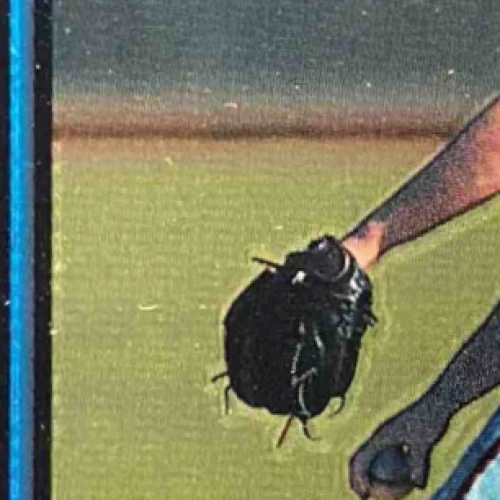 Bobby Basham 2003 Bowman Chrome Autograph RC Auto #343 Reds - Image 3 of 4