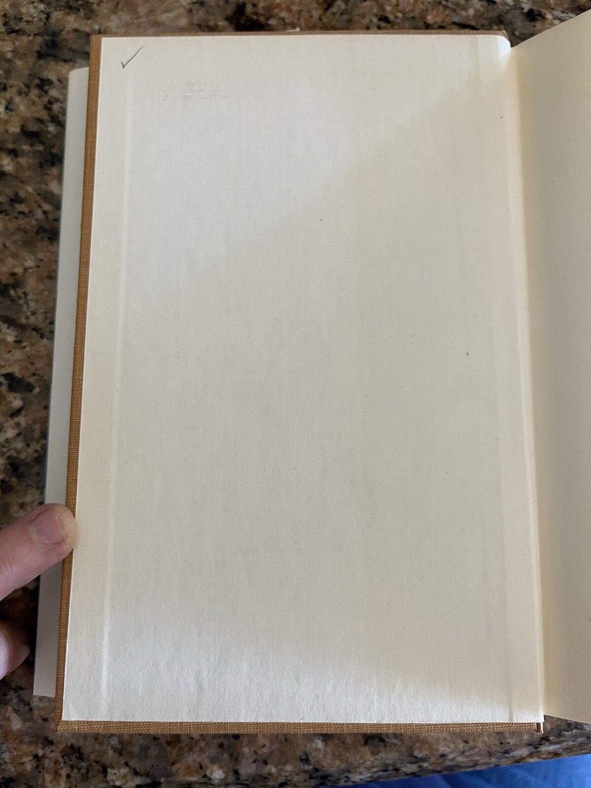 Picture 6 of 16