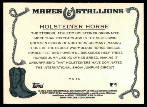 2019 TOPPS ALLEN & GINTER HOLSTEINER HORSE MARES & STALLIONS #MS-15 INSERT - Imagen 2 de 2