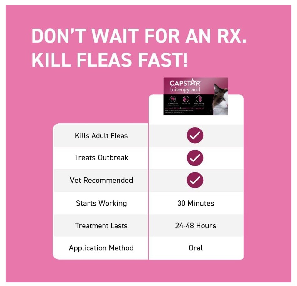 Capstar 6 nitenpyram 11.4 mg Tablets Oral Treatment Cat Cats 225lbs 07