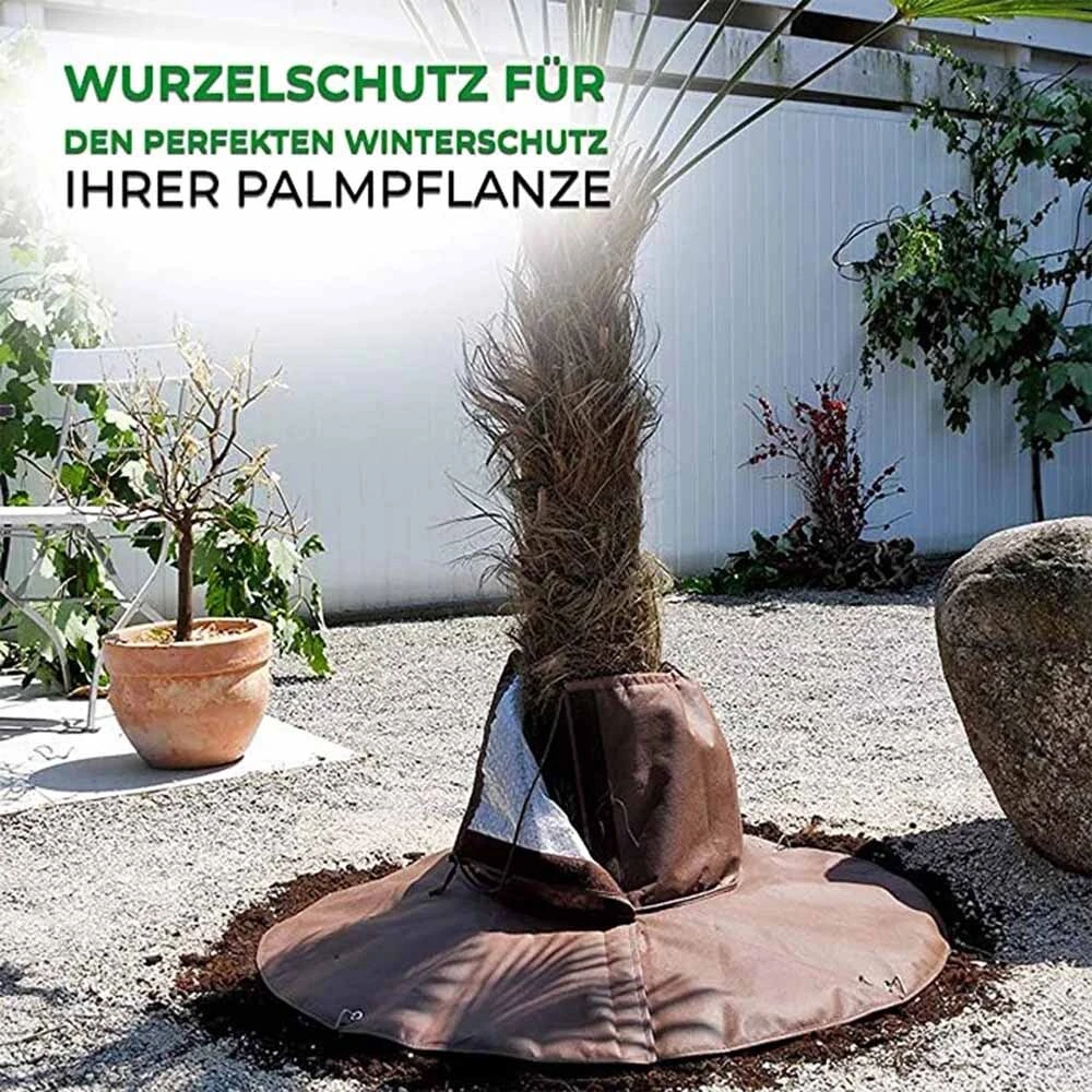 Bild 3 von 11