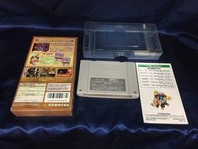 A Special/Donkey Kong 3 Mysterious Cremis IsDisneyland Famicom Japan Region