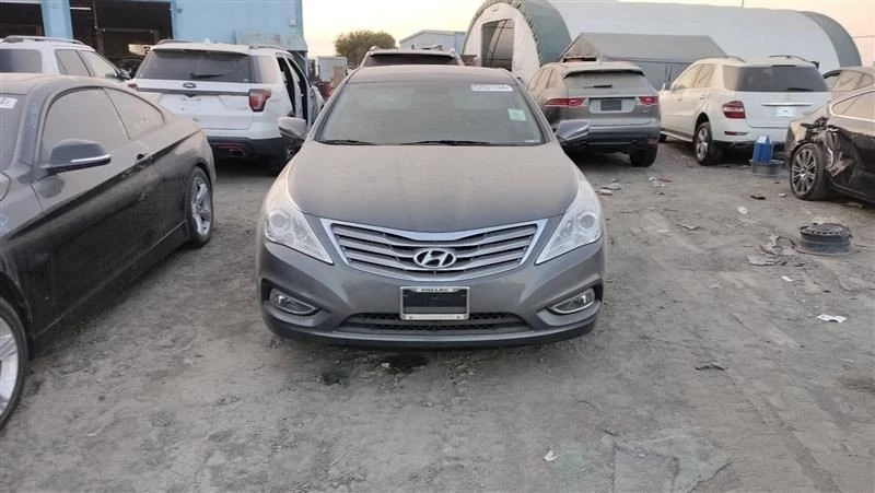 BOTE DE CARBÓN DE VAPOR DE COMBUSTIBLE 314013V500 2013 HYUNDAI AZERA Foto 3 de 4