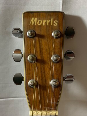 MORRIS W−40 ハカランダ3ピースバックモデル！ Acoustic Guitar Morris W-40 Model 3P Jacaranda Natural with